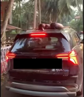 Tourist in Goa Drives XUV While Kids Sleeping on the Roof,