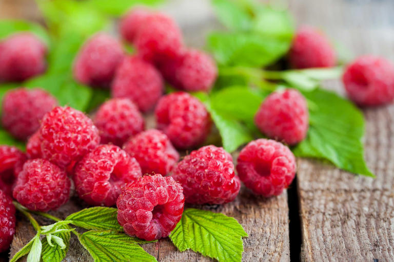 Raspberry: Nutrition Tips from the Experts to Keep You Healthy!