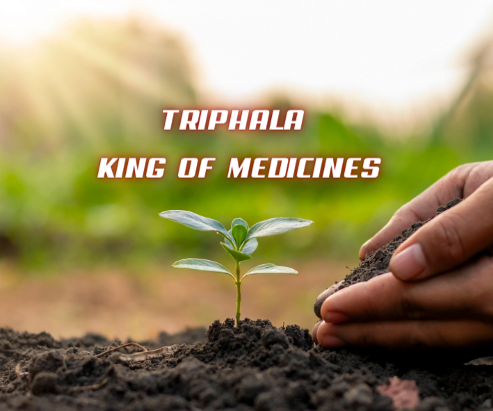 In-Depth Exploration: what is TRIPHALA ?