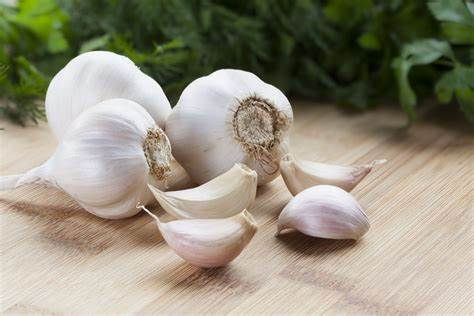 IN-DEPTH EXPLORATION: BENEFITS OF GARLIC IN AYURVEDA