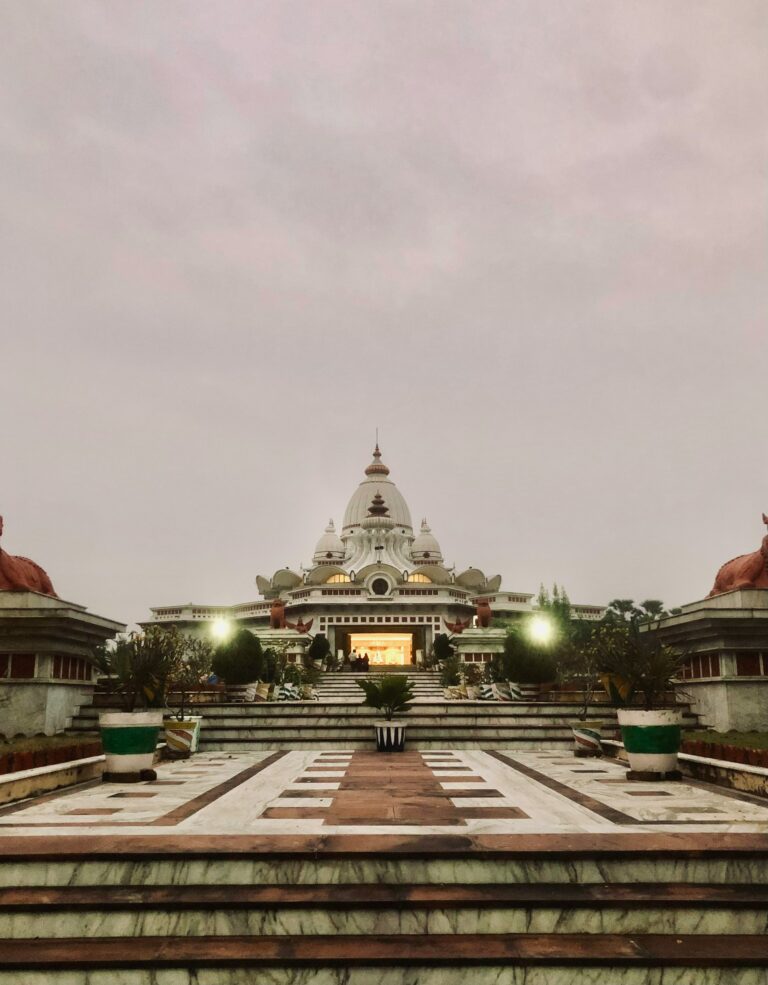 “Huge Turnout at Ram Temple a Day After Grand Opening, Extensive Waiting Line Draws Attention”