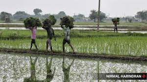 Impactful Changes Anticipated for Agriculture in Union Budget 2024