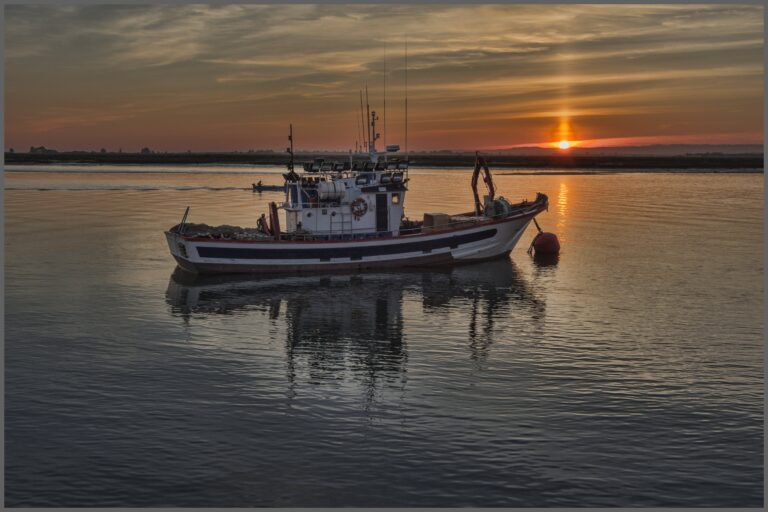 “10 Indian Fishermen Arrested on Allegations of Poaching in Sri Lankan Waters”