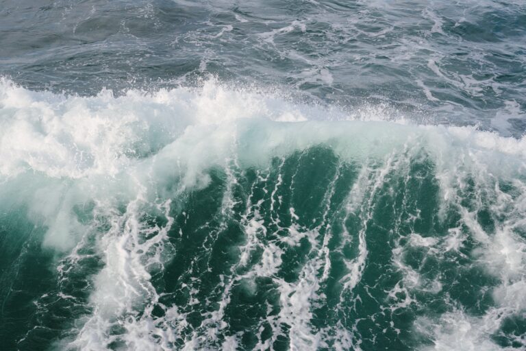 “Video Footage Captures First Tsunami Hitting Japanese City as Residents Brace for Onslaught”